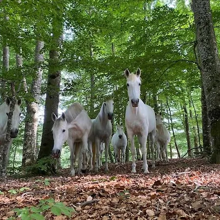 度假居 Domaine De Linars ☆ La Forge ☆ *