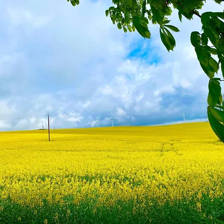 Domaine De Linars ☆ La Forge ☆ 度假居 Le Truel