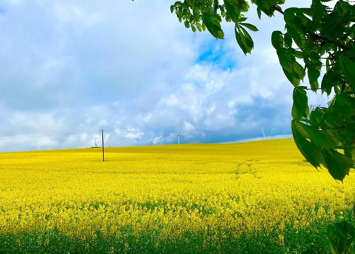 Domaine De Linars ☆ La Forge ☆ Casa de Férias Le Truel